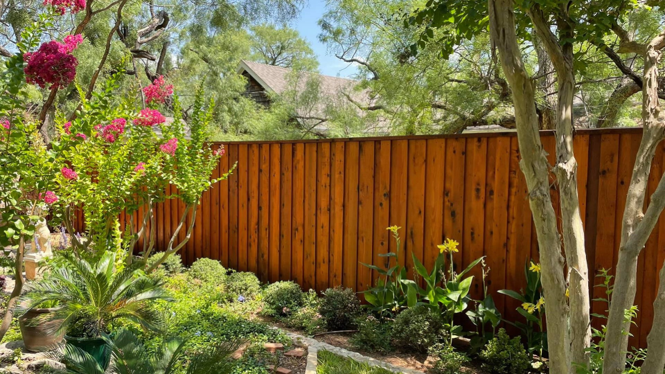 Abilene Fence Staining